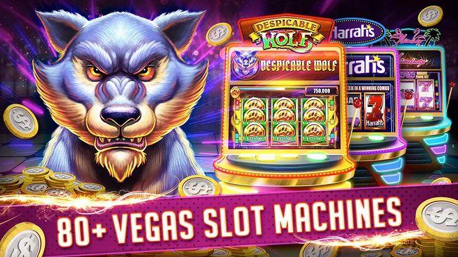 mwplay best online casino