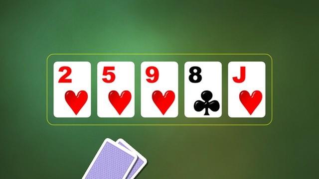 casino 365